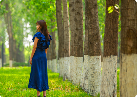 凤凰同盟平台注册·(唯一)官方网站