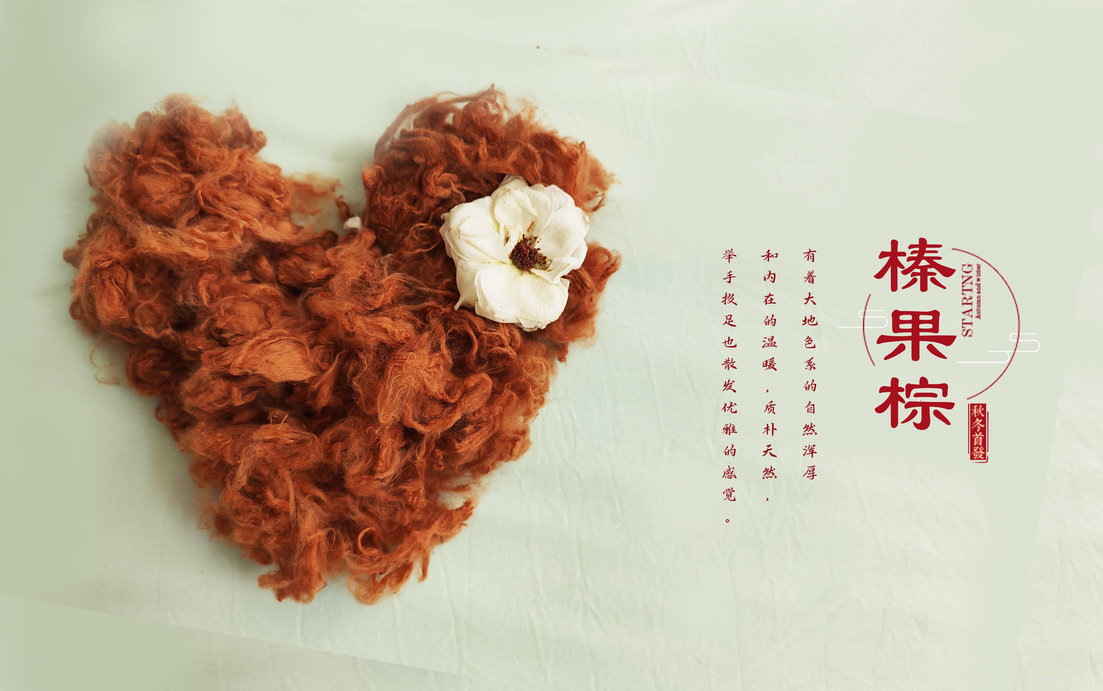 凤凰同盟平台注册·(唯一)官方网站