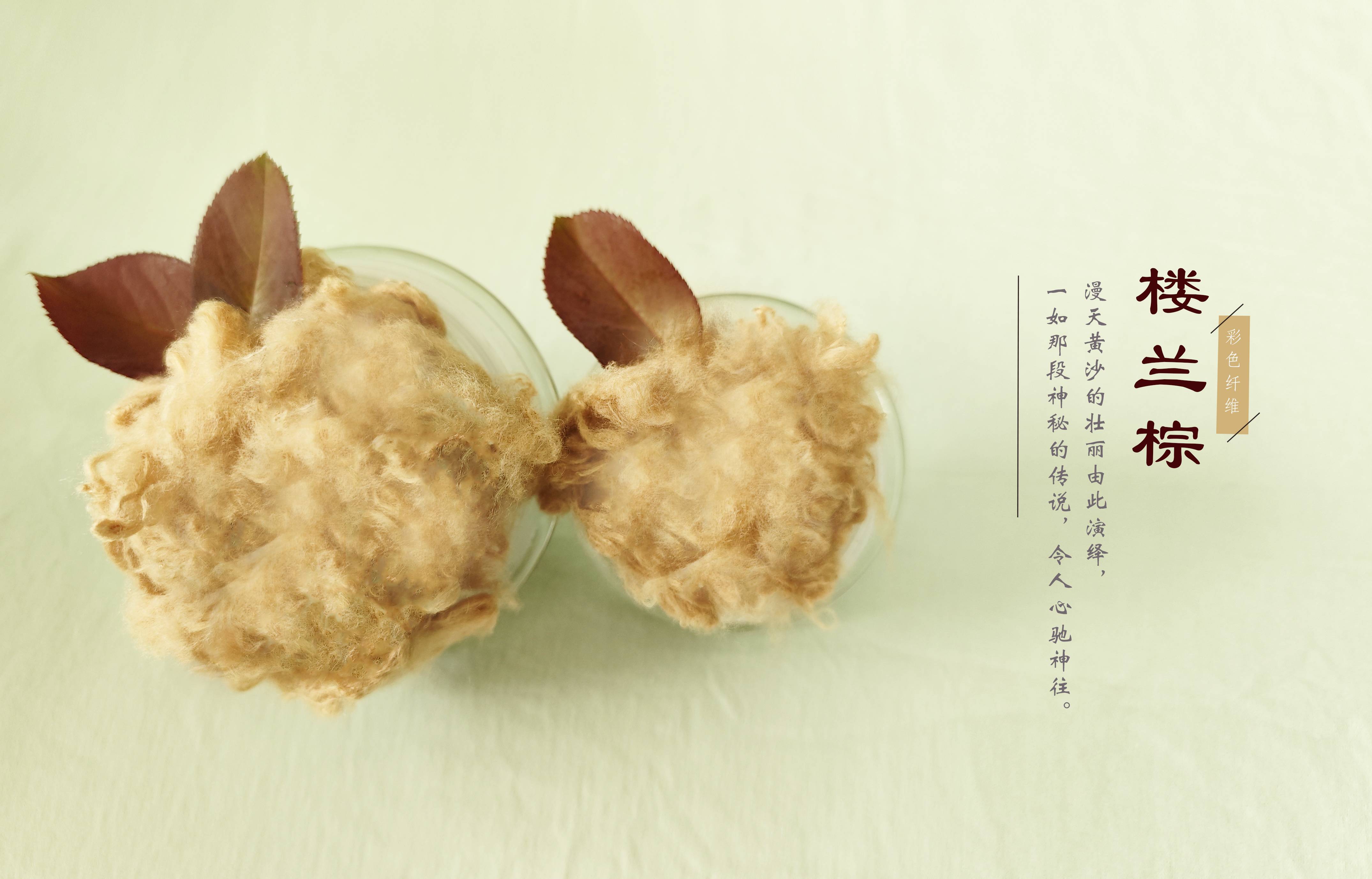 凤凰同盟平台注册·(唯一)官方网站