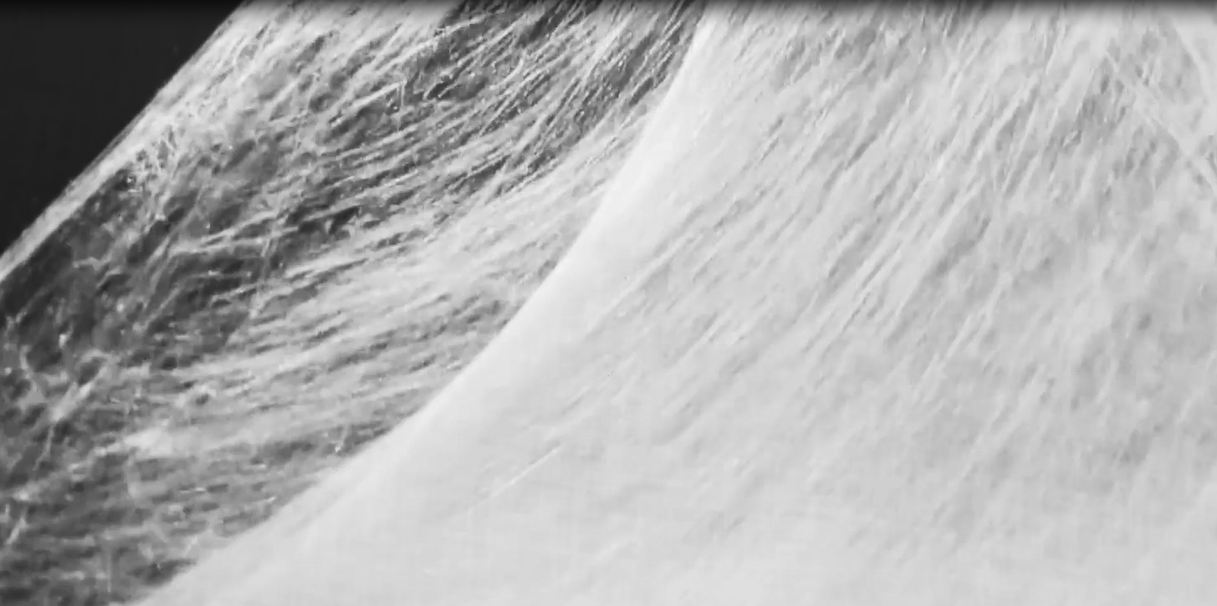 凤凰同盟平台注册·(唯一)官方网站